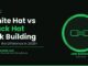 White Hat vs Black Hat Link Building