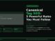 Canonical tag SEO guide showing 5 powerful rules to fix duplicate content and help Google index the right pages
